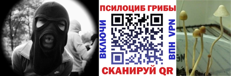 Галлюциногенные грибы Cubensis Михайлов
