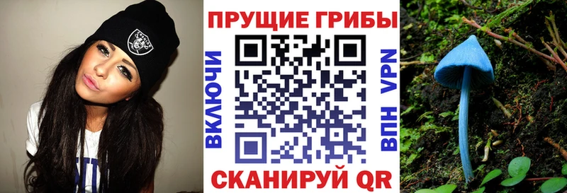 Псилоцибиновые грибы прущие грибы  Купить закладки  Михайлов 